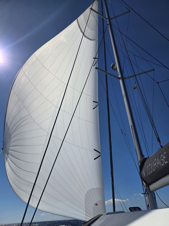 Mainsail and rigging viewed from the cockpit